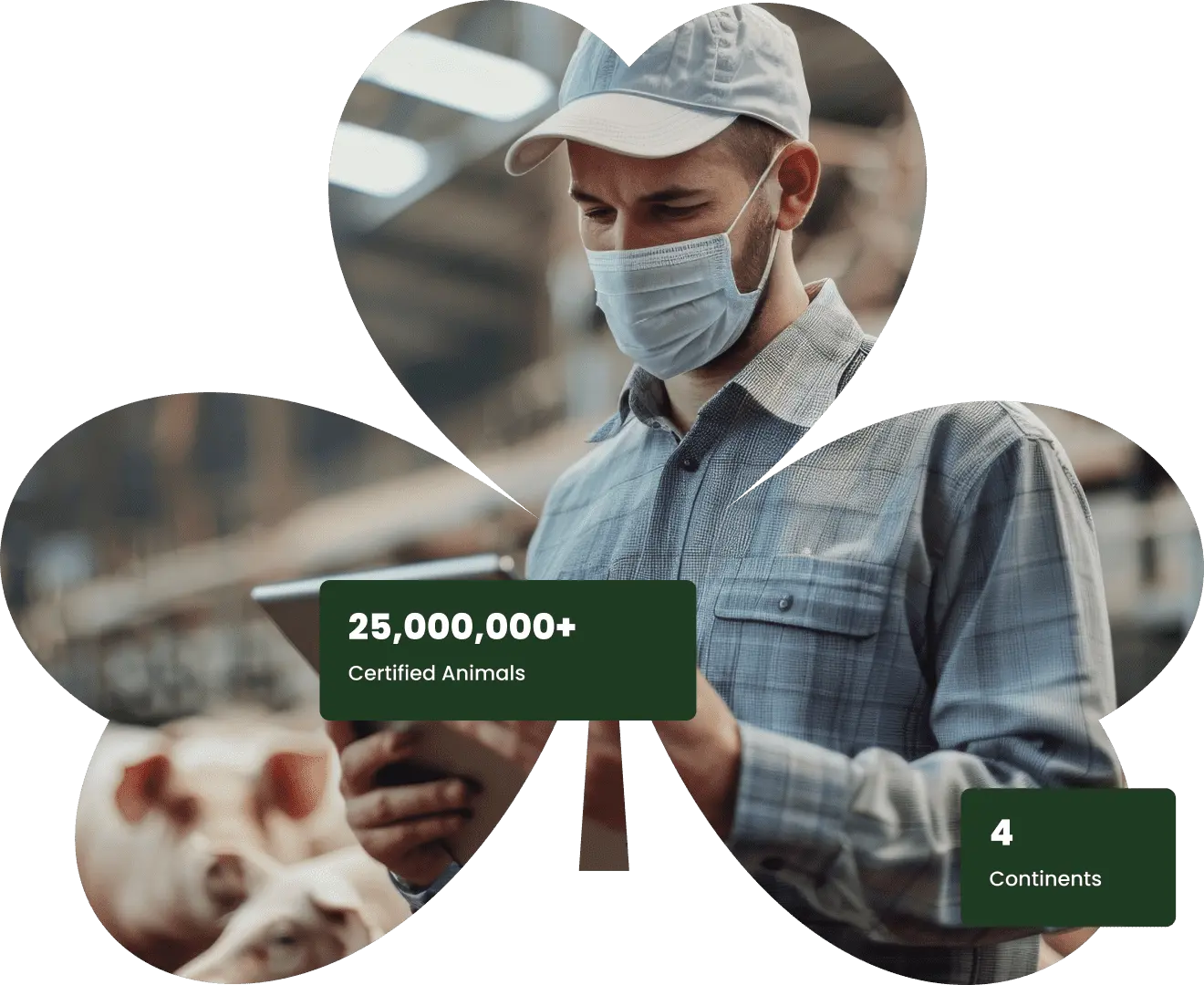 Cloverleaf workers